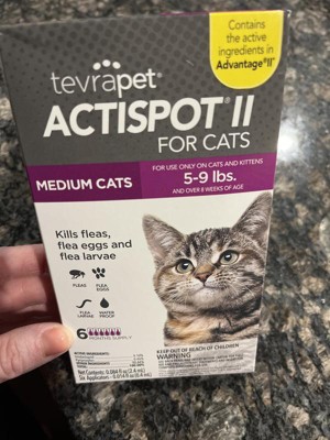 Target flea medicine for sales cats