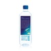 FIJI Natural Artesian Water - 1 L Bottle - image 3 of 3