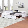 NicBex Wooden Twin Daybed with Trundle Bed and 2 Drawers,Extendable Bed Daybed for Bedroom,Living Room,Apartment - 2 of 4