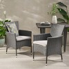 Modern Patio PE Wicker Rattan Woven Dining Chair Set of 2,Porch Balcony Outdoor Cushion Dining Arm Chair,2 Pieces Garden Lounge Chair-Coolbibila - 3 of 4