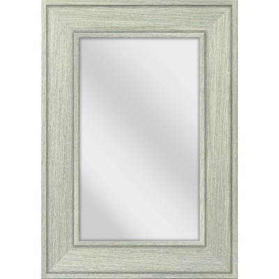 28.5" x 40.5" Catalyst Decorative Wall Mirror - PTM Images