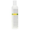 milk_shake Energizing Blend Conditioner 10.1 oz - image 4 of 4