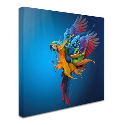 Trademark Fine Art -Sulaiman Almawash 'Flying Colours' Canvas Art