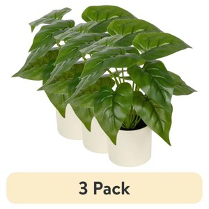 Racxily (3 pack) 10-inch x 4-inch Artificial Philodendron Leaf Plant in White Pot, Green, for Indoor Use - 1 of 4