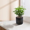 SEVOBAL Planters 3-Piece Modern Ceramic Glossy Flower Pots, Frost-Resistant with Drainage Holes for Indoor, Outdoor, Black, 14.57"*14.57"*14.18" - 2 of 4
