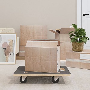vidaXL Transport Trolleys 2 pcs Rectangular 23.6"x15.7"x4.5" 551.2 lb - 1 of 4