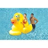 DUP Swimline - Giant Ducky Ride-On - 2 of 2