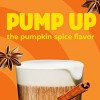 International Delight Cold Foam Pumpkin Spice Creamer - 14 oz - 3 of 4