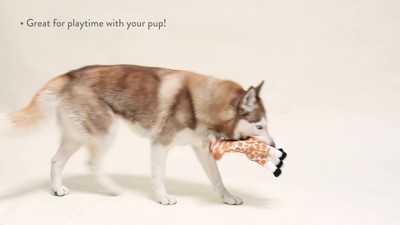 Petshop By Fringe Studio Giraffe Dog Toy : Target