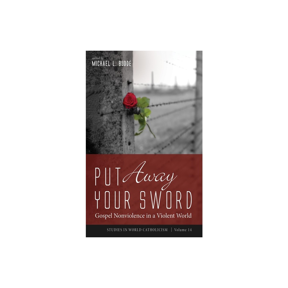 Put Away Your Sword - (Studies in World Catholicism) by Michael L Budde (Paperback)