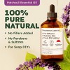 KUKKA Patchouli Essential Oil 100% Pure & Natural - 4 Fl Oz - 2 of 4