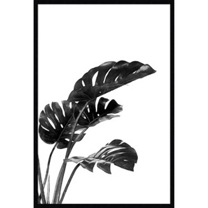 Amanti Art Monstera Black and White 03 by Amini54  Wood Framed Wall Art Print - 1 of 4