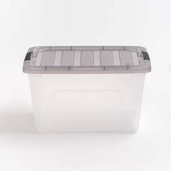 WYT 9 Quart Clear Storage Latch Bins with Lids/Handle, Plastic Clear  Stackable Box, 9-Liter (2 Pack)