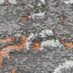 grey/orange