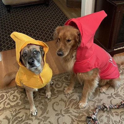 Mustard 2025 dog costume