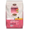 Nutrish Gentle Digestion with Real Salmon, Veggies & Brown Rice Dry Dog Food - 2 of 4