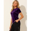 INSPIRE CHIC Women's Velvet Crew Neck Short Sleeve Casual Blouse - 4 of 4