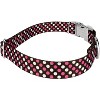 Country Brook Petz Premium Dog Collar - Abstract Collection - 3 of 4
