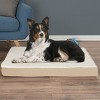 Orthopedic Dog Bed – 2-Layer Memory Foam Dog Bed with Machine Washable Top Cover – 36x27 Dog Bed for Large Dogs up to 65lbs by PETMAKER (Tan) - 2 of 4