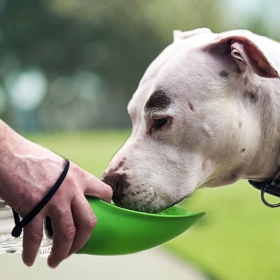 Green Portable Pet Water Bottle with Foldable Bowl