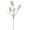 White Spiky Stem – 43"H Artificial Floral Accent with Bendable Petals, EVA Foam & Wire Construction (Set of 6) By Kalalou - 2 of 3