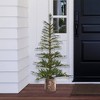 5ft Pre-Lit LED Timberland Fir Artificial Potted Christmas Tree - Haute Décor - 4 of 4