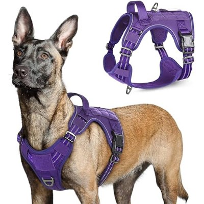 rabbitgoo Tactical Dog Harness for Large Dogs, Vest with Handle & Molle, Easy Control for Training Walking, Adjustable Reflective Straps, Purple, L