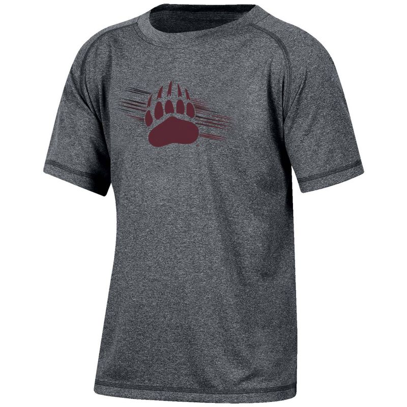 NCAA Montana Grizzlies Boys&#39; Gray Poly T-Shirt, 1 of 4