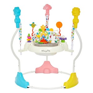 Dream On Me Zany 2-In-1 Activity And Center Bouncer - 1 of 4