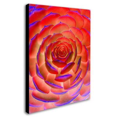 Trademark Fine Art -Patty Tuggle 'Plant Art' Canvas Art