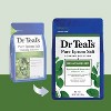 Dr Teal's Epsom Salt Magnesium Soak - Relax & Relief with Eucalyptus & Spearmint - 2 of 4