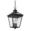 Savoy House Ellijay 4 - Light Pendant in  Black - 4 of 4