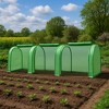 Heavy Duty Walk-in Greenhouse for Outdoors, Large Outdoor Plant Green House with Roll-Up Zipper Door, Reinforced Frame & PE Cover - 3 of 4
