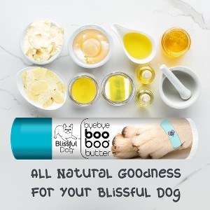 The Blissful Dog Boo Boo Butter - 1 of 4