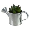 Northlight 4" X Pachyveria Succulent in Water Can Artificial Potted Plant - Green/Silver - image 3 of 3