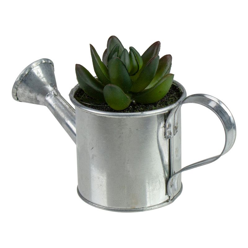 Northlight 4" X Pachyveria Succulent in Water Can Artificial Potted Plant - Green/Silver, 3 of 4