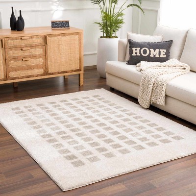 Hauteloom Baback Gray Washable Area Rug