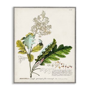 Stupell Industries Vintage Botanical Plant Illustration Framed Giclee Art, Gray, 24" x 30" - 1 of 4