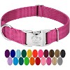 Country Brook Petz Premium Nylon Dog Collar with Metal Buckle for Small Medium Large Breeds - Vibrant 30+ Color Selection - 2 of 4