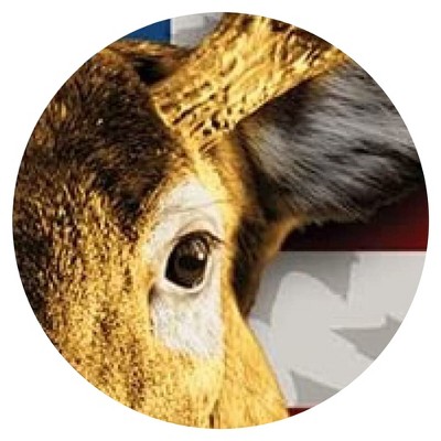 Patriotic American Whitetail Deer Fleece Throw Blanket