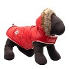 The Worthy Dog Park City Puffer Hoodie Jacket - 3 of 3