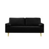 65'' Velvet Minimalist Loveseat Sofa with Metal Legs, Includes Cushions, Suitable for Living Room or Bedroom - 2 of 4