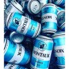 Montauk Seasonal 1 Beer - 12pk/12 fl oz Cans - 4 of 4
