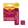 Burt's Bees Tinted Lip Balm Daisy Blister Pack - 0.15oz - 3 of 4