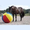 Horsemen's 40-Inch Mega Ball Cover for Horses - Multicolored - 3 of 3