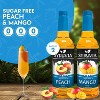 Syruvia Sugar Free Coffee Flavors Variety Pack: Peach & Mango 25.4 fl oz Syrup - 2 of 4