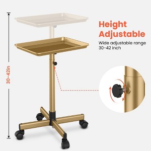 TASALON Aluminum Salon Tray on Wheels - 1 of 4