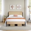 Metal Platform Bed Frame with Natural Rattan Headboard and Wooden Footboard, Sturdy Storage Bed Base, Easy Assembly, No Box Spring Required - 3 of 4