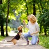 iMountek Dog Tie Out Cable Long Dog Leash Chew Proof with Durable Spring 360° Rotatable Clips PVC Case for Outside Yard Caming - 2 of 4