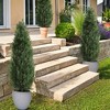 Whizmax Artificial Cypress Tree 2-Set,Artificial Cedar Topiary Trees for Outdoor & Indoor Decor, Faux Shrub UV Protection for Longer Life - 3 of 4